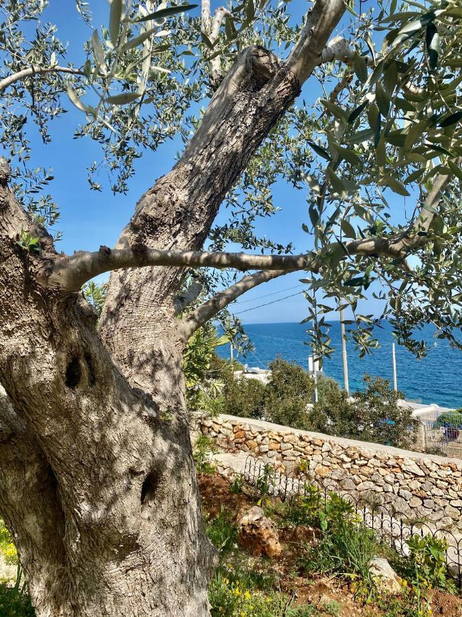 Stone Home - Sea & Landscape Marittima Exteriér fotografie